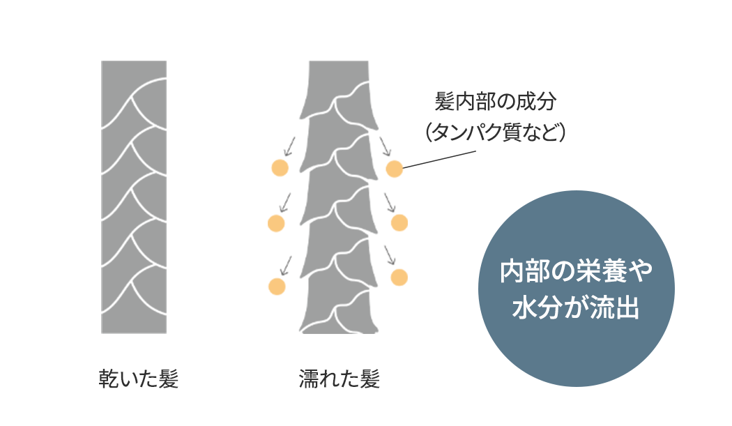 ｢髪が濡れている時間｣ を短くすることが大切
