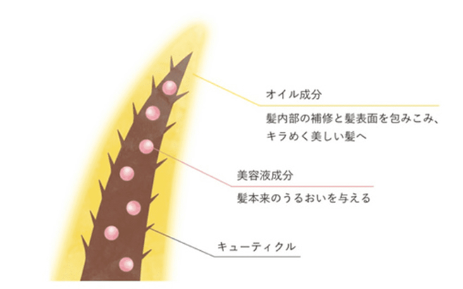 ソフプロフェッショナル ヘアオイル 補修
