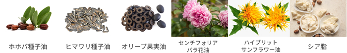 ソフプロフェッショナル オイルインセラム モクレン 成分