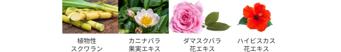 ソフプロフェッショナル オイルインセラム モクレン 成分