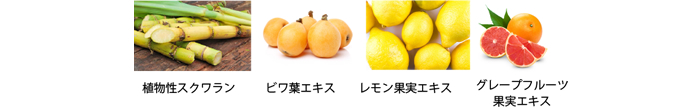 ソフプロフェッショナル オイルインセラム ピュア 成分