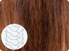 ソスイ SOSUI 疎水