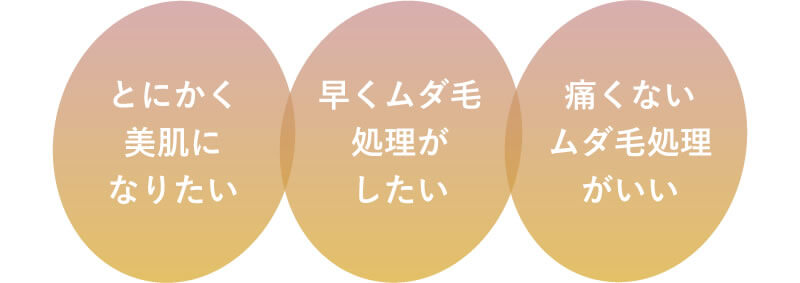 ステラボーテ特徴