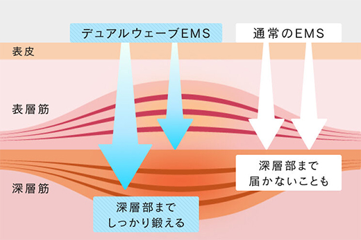 2つの波長でより深層部へ刺激