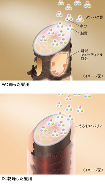 独自のダブルリペアシステム