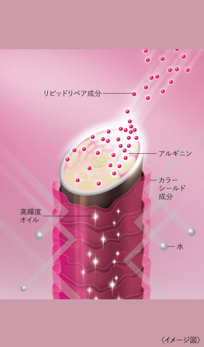 独自のダブルリペアシステム