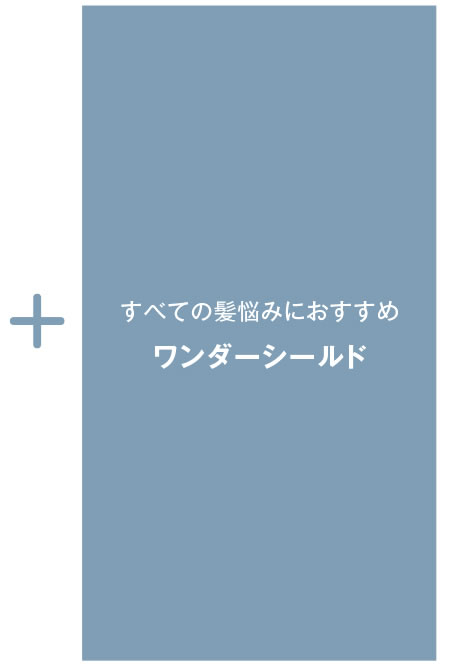 ワンダーシールド