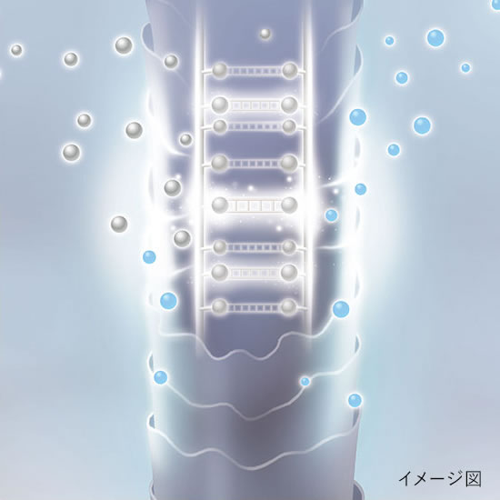 毛髪形状ケアテクノロジー