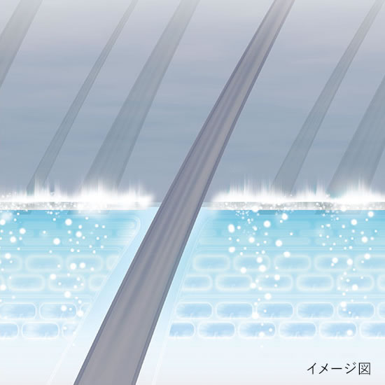 頭皮のうるおい力を高め、健康な髪へ