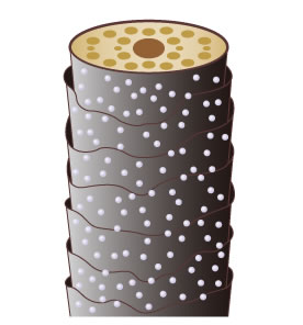 ワンダーシールド塗布後