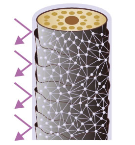 熱処理後 シールド