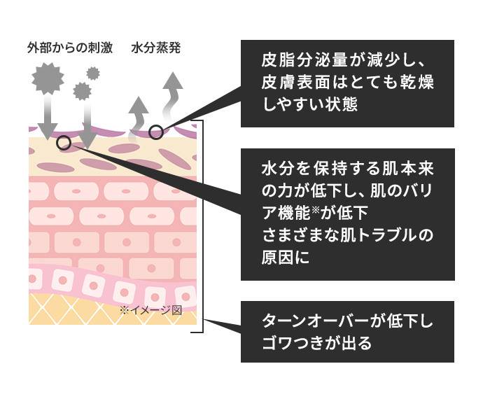 正規販売店 ティエイム V バンド 加齢によるコラーゲンの減少 ティーエイム