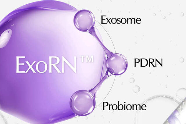 正規販売店 t:aim ティエイム ExoRN Ampoule