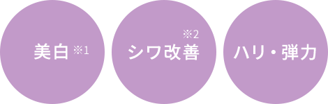 正規販売店 ティエイム V バンド  ティーエイム