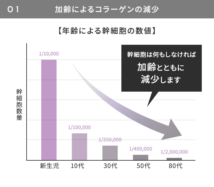 加齢によるコラーゲンの減少