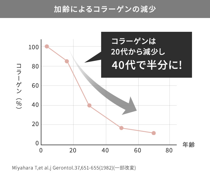 正規販売店 ティエイム V バンド 加齢によるコラーゲンの減少 ティエイム