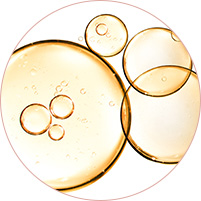 正規販売店 ティエイム V バンド カフェイン リボフラビン ティエイム