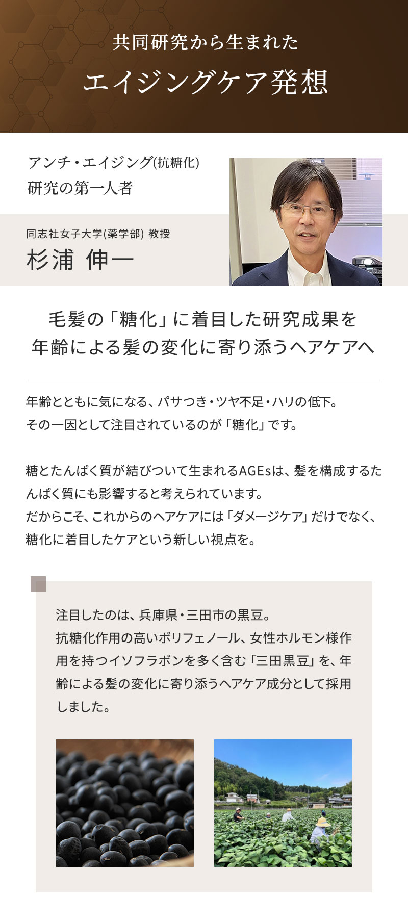 ザ・カラーリスト プロコメント 同志社女子大学 楽学部教授 杉浦伸一