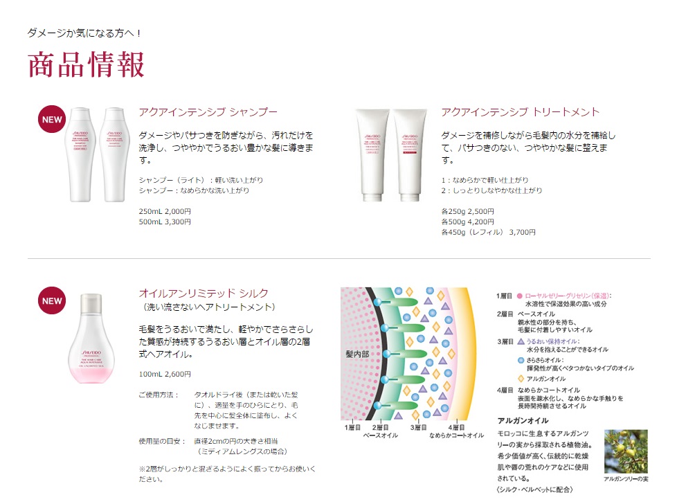 Shiseido 資生堂 ザ ヘアケア アクアインテンシブ トリートメント2 250g