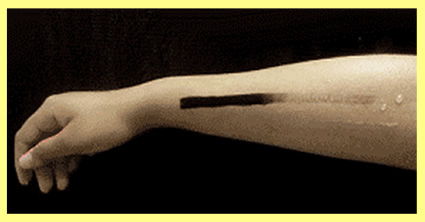 シャワーヘッド　ミラブル